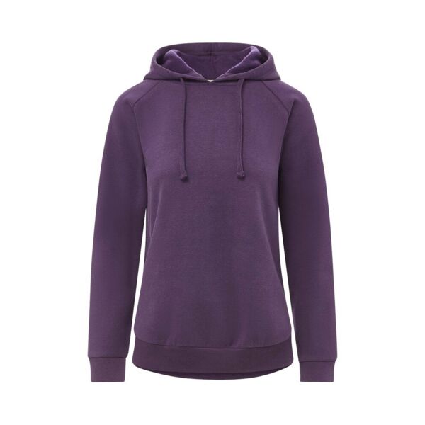 Women's Vintage Fleece Hooded Sweatshirt Thumbnail