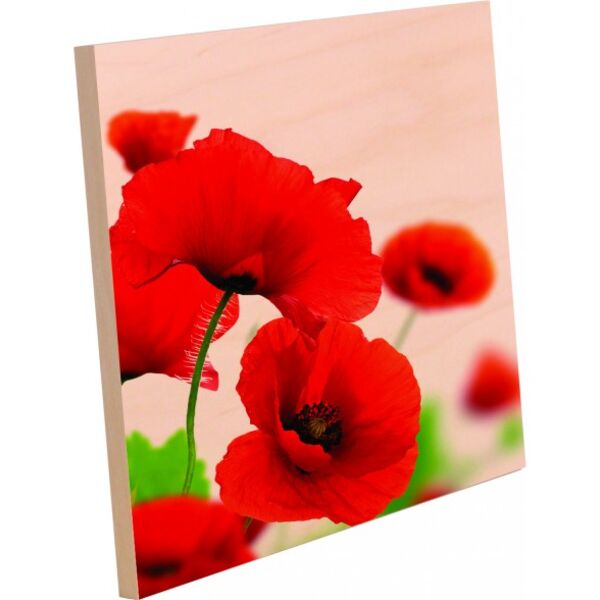 8x8 Photo Panel w/ Easel Thumbnail